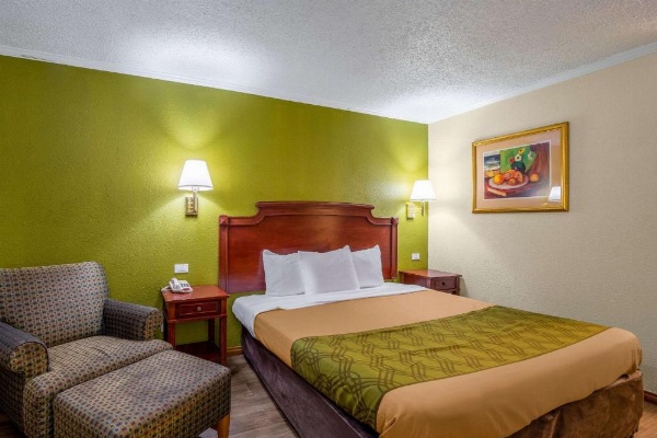 Rodeway Inn & Suites Fort Jackson image 15